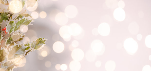 圣诞常春藤背景图片下载