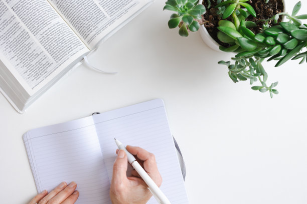 手握笔，日记，圣经和多肉植物图片下载