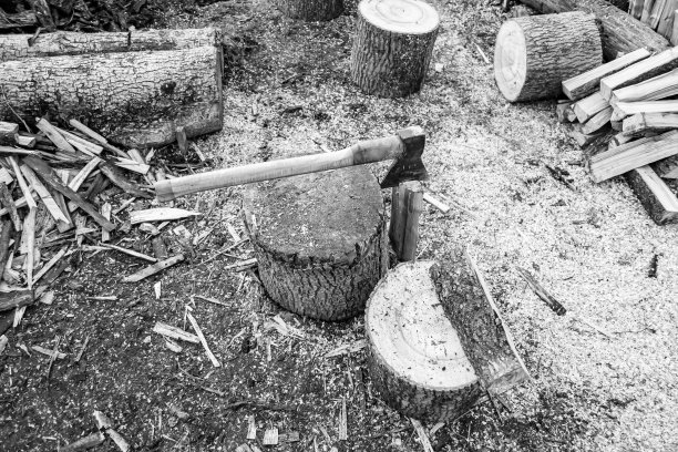 摄影主题大钢斧与木柄图片下载