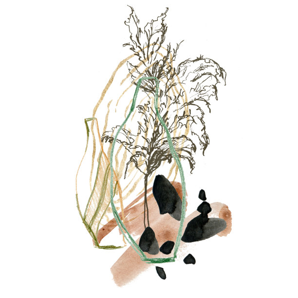 铅笔瓶和线性潘帕斯草的水彩画抽象构图。手绘线性卡植物隔离在白色背景。花卉插图的设计，印刷，织物或背景。图片下载