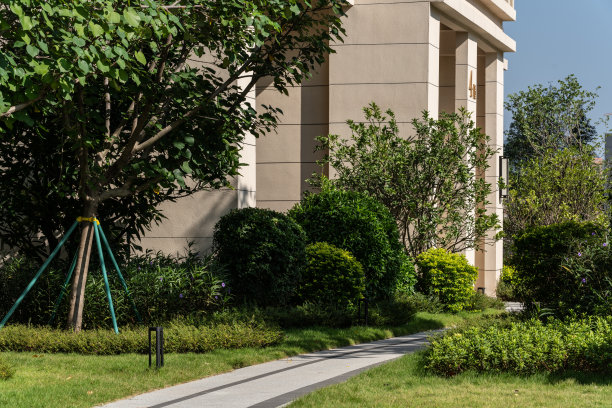 绿色步道以绿色的树木和植物点缀现代城市住宅景观。图片下载