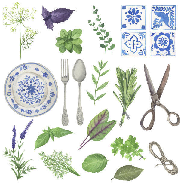 手工绘制的烹饪草本植物与不同的新鲜有机健康天然物种隔离图片下载