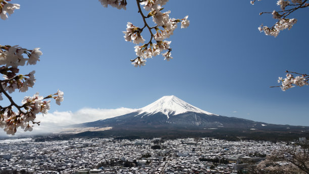 白雪皑皑的富士山，樱花映衬，富士五湖地区，日本。图片下载