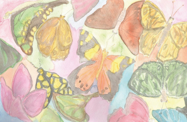 澳洲蝴蝶飞蛾镶嵌艺术绘画图片下载