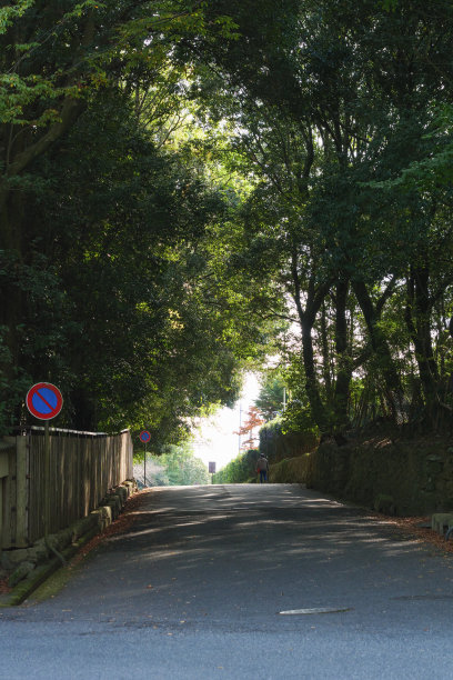 一个乡村小镇的缓坡上，写着“禁止闯入”的牌子图片下载
