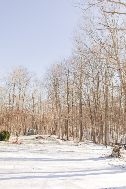 2022年俄亥俄州杰克逊市冬季风暴后的明亮雪景，温馨白色圣诞节图片下载