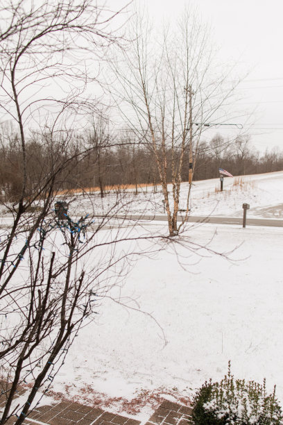 俄亥俄州杰克逊冬季风暴后的雪景图片下载