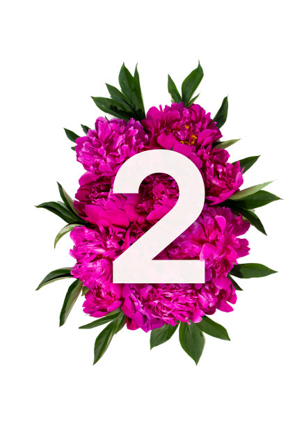 粉红色牡丹花和二号标志的布局。平的。前视图。图片下载
