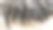 葡萄牙丰沙尔农贸市场的冰上鱼干特写图片下载