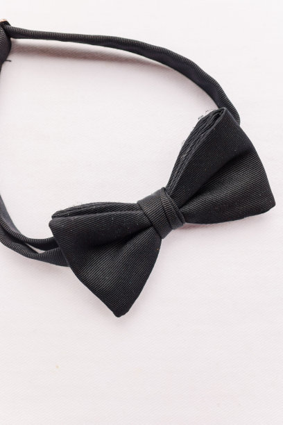 白色背景上的新郎领结的特写图片下载