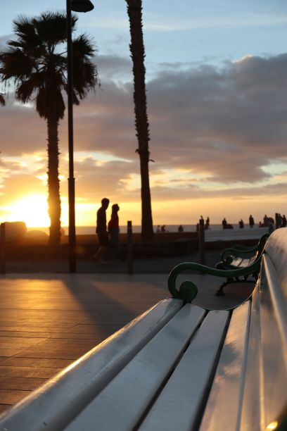 海滩日落，棕榈树在白色长凳和剪影前图片下载