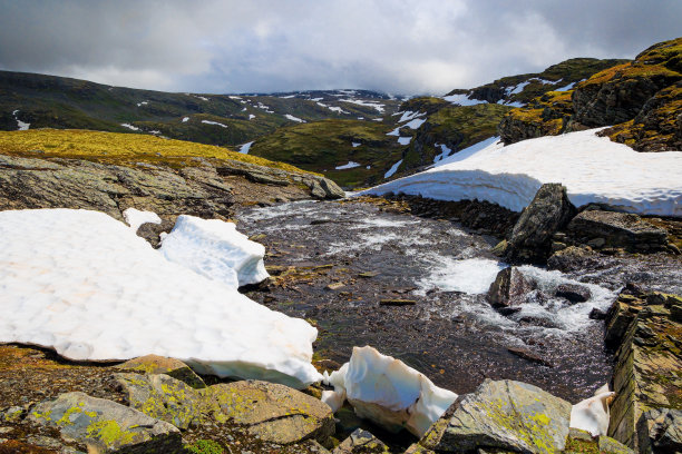 北欧的七月。图片下载