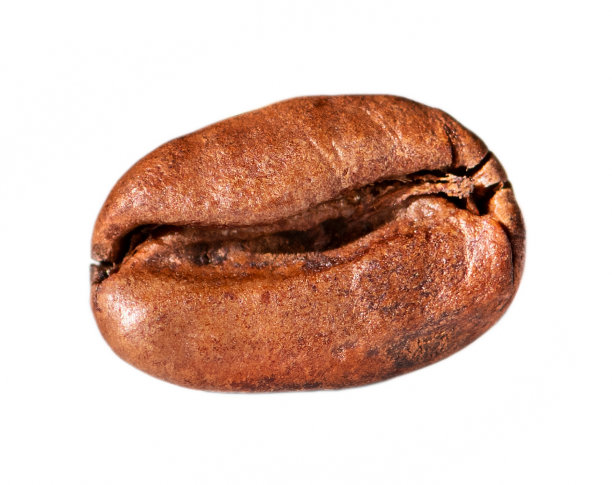 咖啡粒图片下载