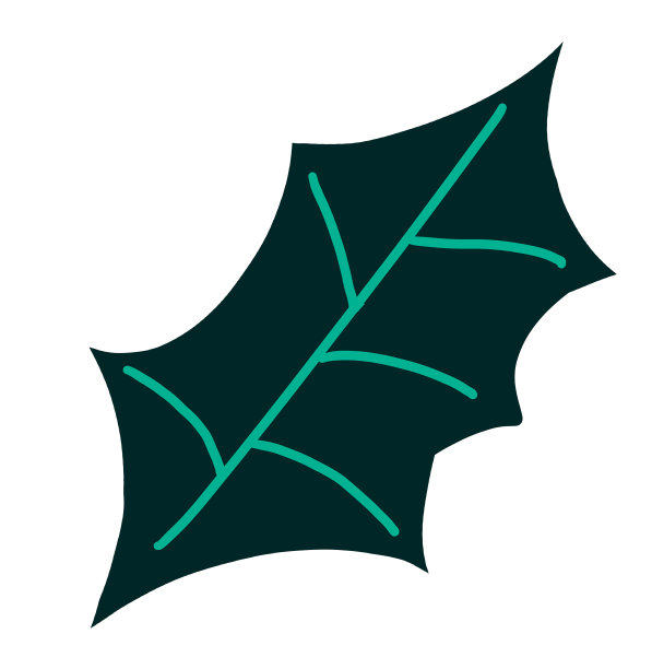 冬青莓叶圣诞新年装饰植物元素节日问候插图艺术图片下载