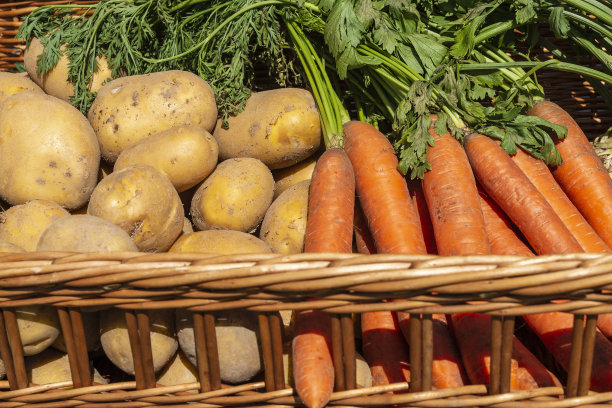 新鲜收获的土豆和胡萝卜放在柳条篮子里。自产新鲜蔬菜。健康食品概念图片下载