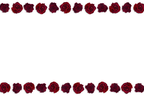 情人节。花组成。框架制成的玫瑰花，背景。图片下载