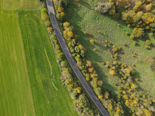 在一个阳光明媚的秋日，从高处俯瞰草地和树木之间的道路图片下载