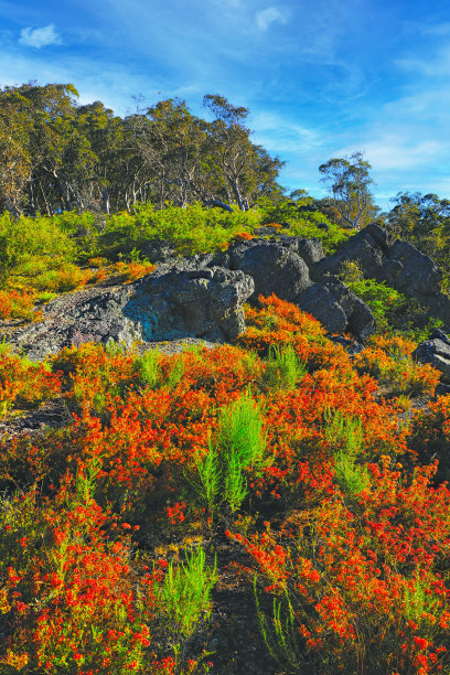 阳光明媚的角落。图片下载