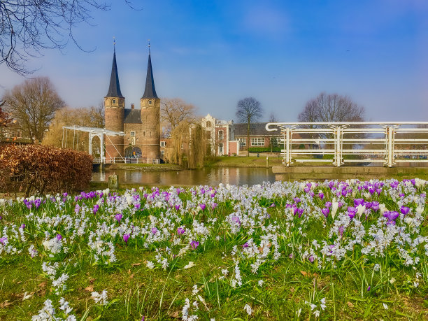代尔夫特的Oostpoort春景图片下载