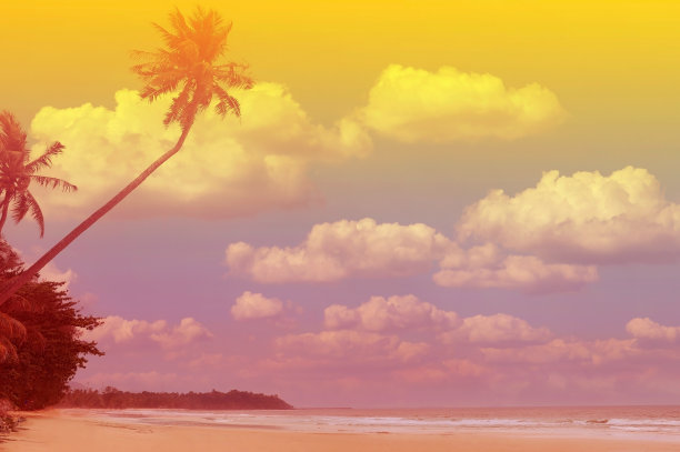 夏天的节日以丰富多彩的主题为棕榈树背景作为纹理框架背景图片下载