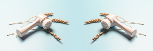 麦穗面刷。横幅图片下载