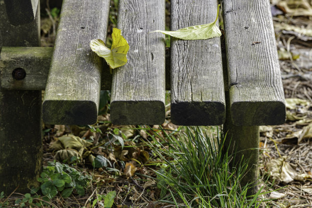 一张用旧的、干燥的、灰色的木板做成的长凳的一角特写，上面放着发黄的树叶图片下载