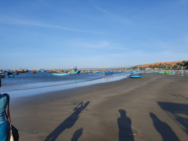 越南的清晨钓鱼图片下载