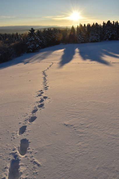 一个冬天的早晨图片下载