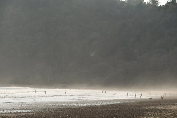 道路上的停车标志，照片为背景图片下载