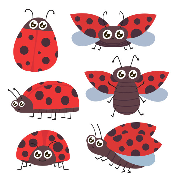 可爱的卡通瓢虫白色背景图片下载