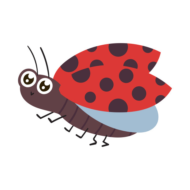 可爱的卡通瓢虫白色背景图片下载