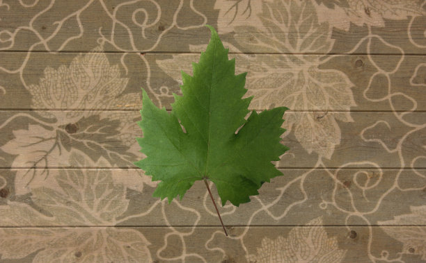 藤纹织物图片下载