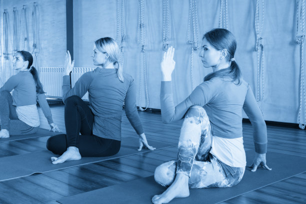 瑜伽课，一群人放松和做瑜伽姿势。健康和健康的生活方式。图片下载