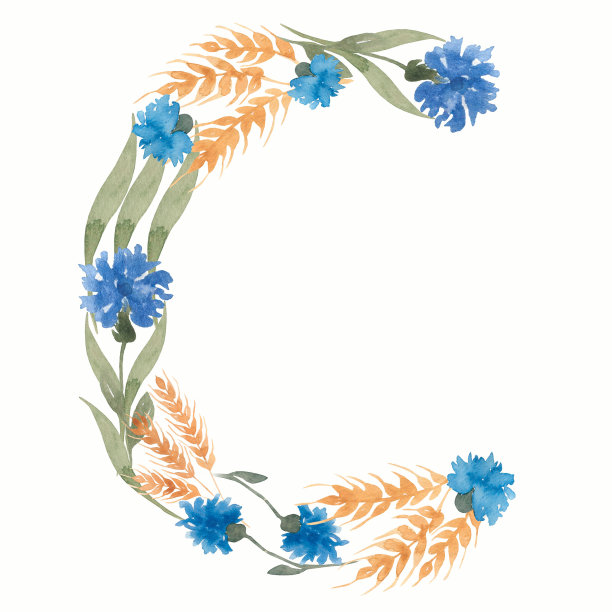 水彩花卉字母组合字母C.手绘ABC字母。野花信件。图片下载