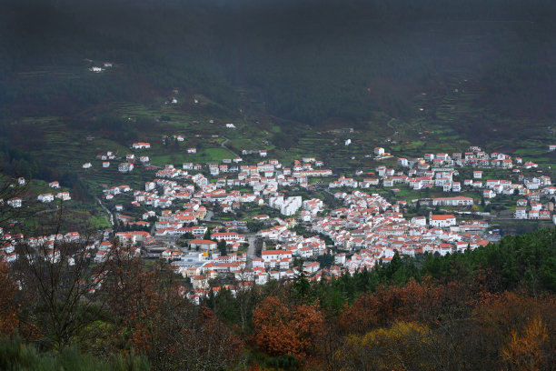 你在这里写的东西将直接到达图片下载