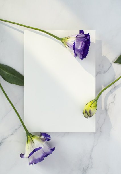 鲜花和卡片模型图片下载