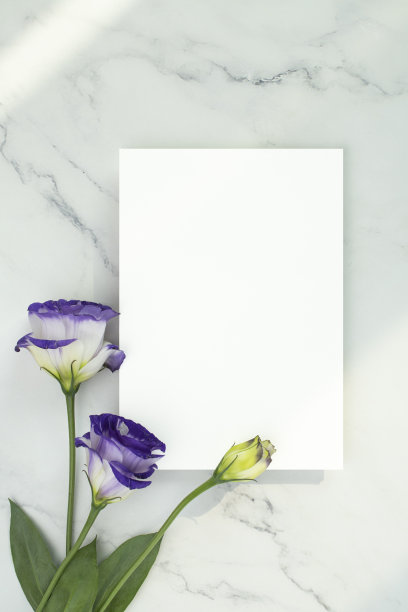 鲜花和卡片模型图片下载