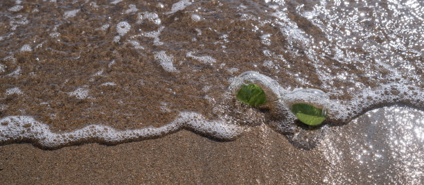 沙滩上的沙漏图片下载