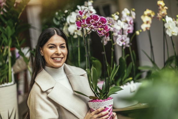 年轻女子在园艺中心买花图片下载