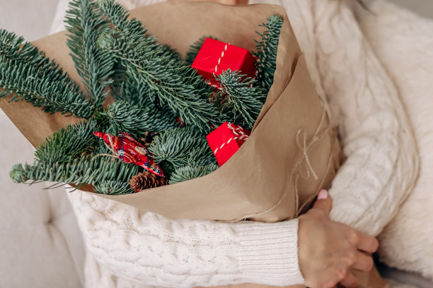 女子手持一束喜庆的冬季冷杉树枝，装饰着红色的装饰，特写。寒假，新年和圣诞节的概念。图片下载