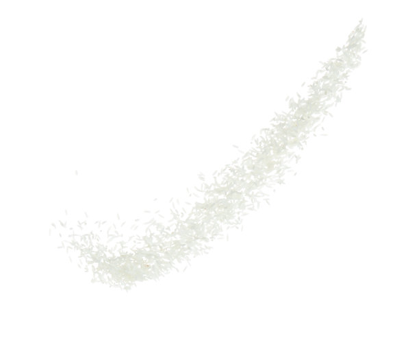 日本稻谷炸飞爆炸，白色稻谷炸抽象云飞。美丽完整的种子大米在空中飞溅，食物对象设计。选择性对焦冻结拍摄白色背景隔离图片下载