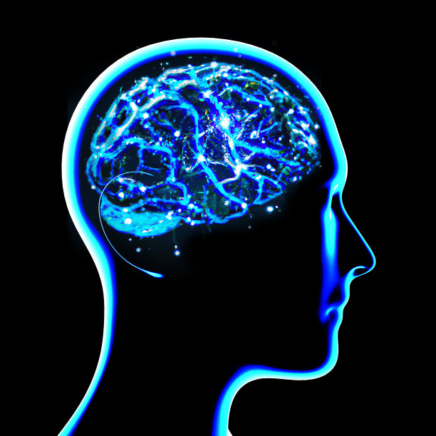 大脑侧面切片，部分大脑。退化性疾病，帕金森，突触，神经元，阿尔茨海默氏症图片下载