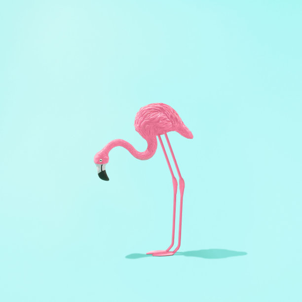 一个粉红色火烈鸟孤立在一个淡蓝色背景的3D -夏季或加勒比概念图片下载