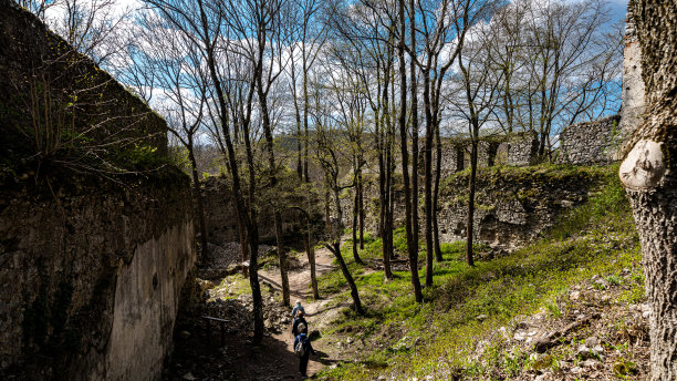 照片中的树木和岩石与大自然中废弃建筑的一部分图片下载