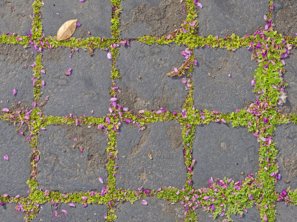 世界遗产城市意大利罗马图片下载