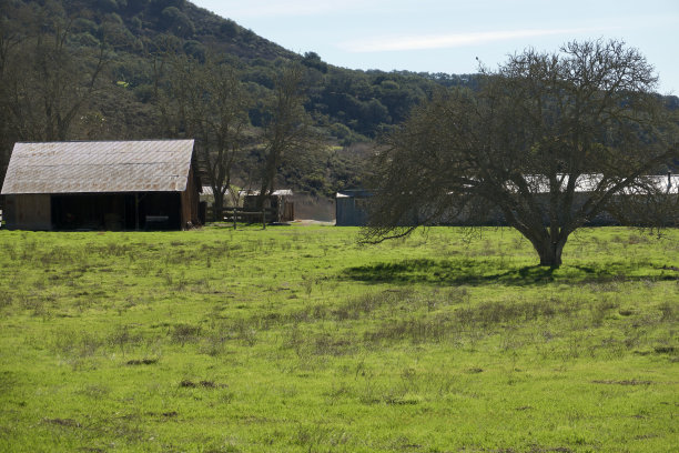 阳光反射在谷仓的金属屋顶上图片下载