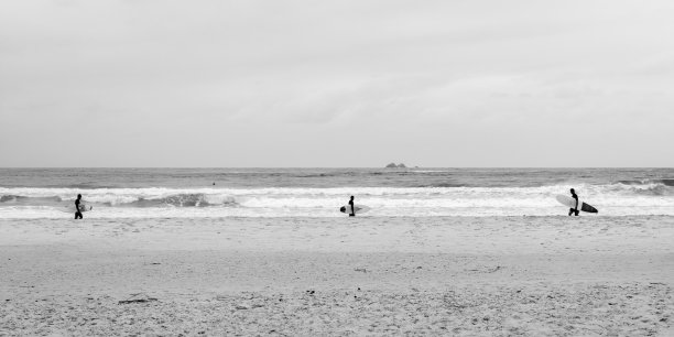 海滩上的冲浪者，黑白相间图片下载