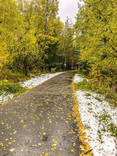 阿拉斯加安克雷奇的步行公园图片下载