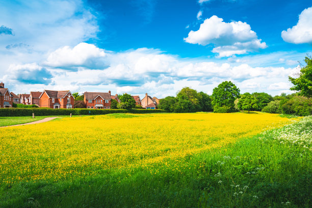 英国城镇景观与盛开的油菜籽前景在英格兰英国图片下载