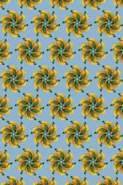 蓝色背景橘子的创意照片:图片下载